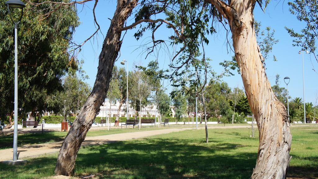 Apartment Los Eucaliptus L'Eucaliptus Εξωτερικό φωτογραφία